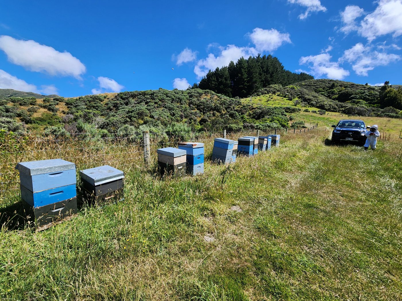 Beekeeping