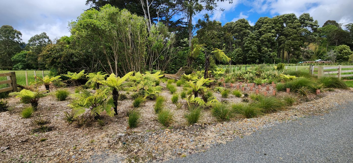 Landscaping