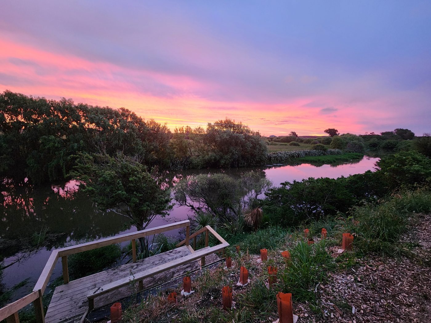 Ecosystem Restoration