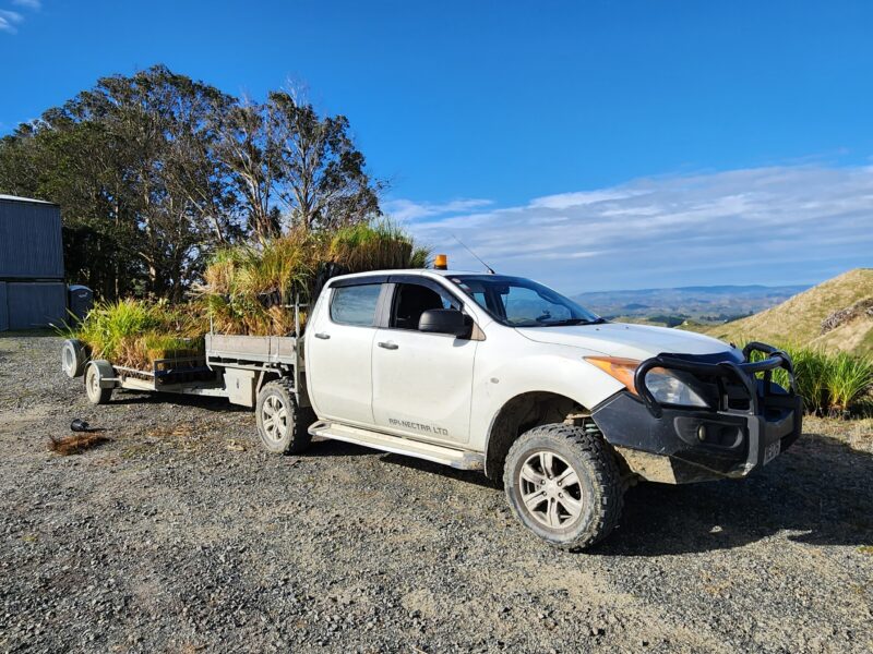 Loading natives at the hilltop