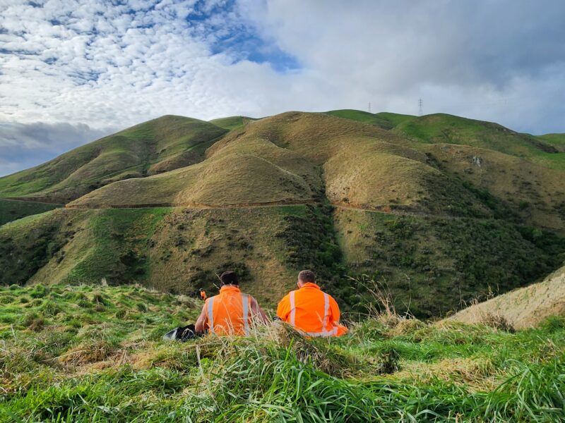 On the job – lower North Island