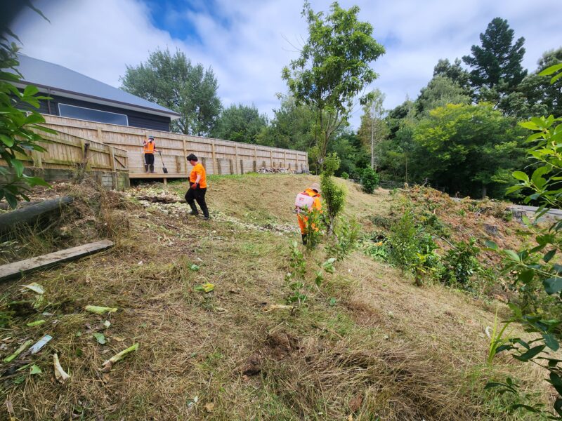 Slope clearing