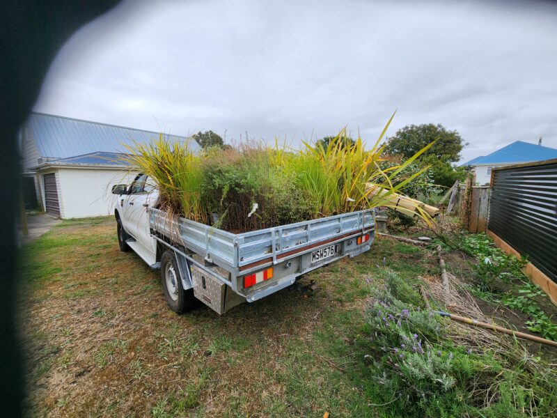 Today’s planting load