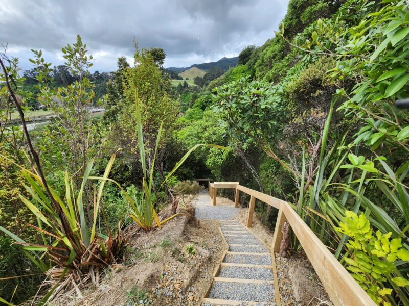 Garden steps through native bush