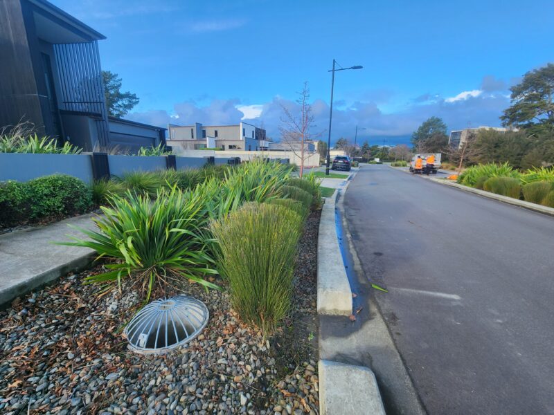 Urban roundabout planting