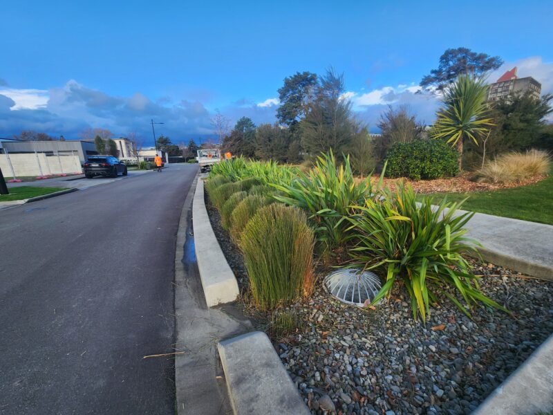 Urban street planting