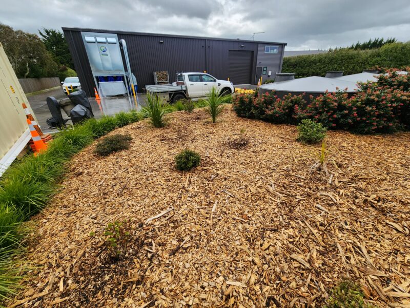 Commercial site landscaping