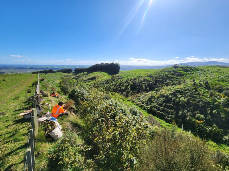 Lunch break with a view