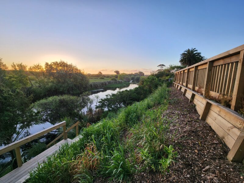 Riparian sunset