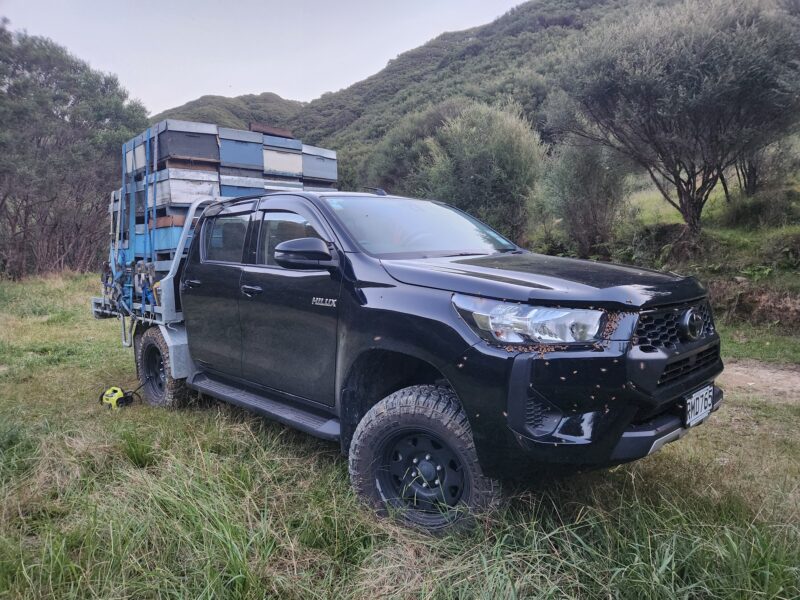 Loading hives for shift
