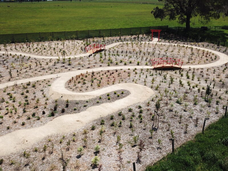 Drone view of the planting block
