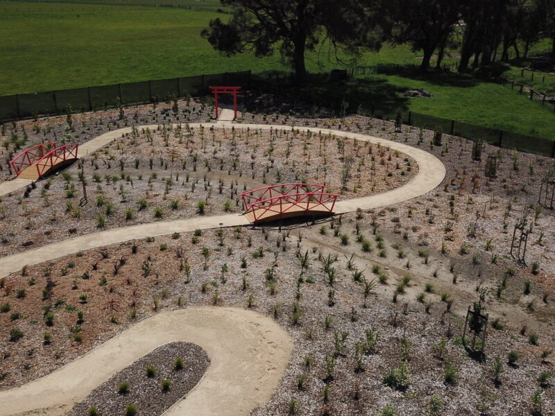 Paths through the planting