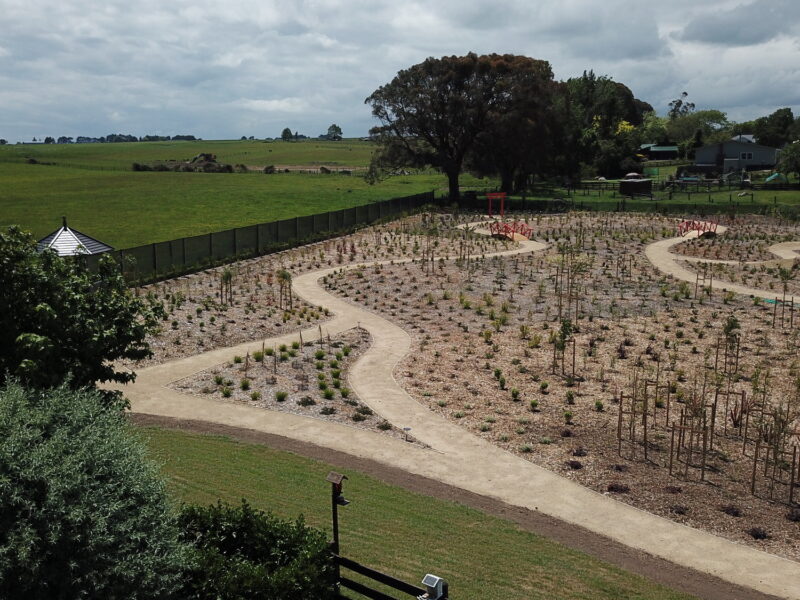 The whole site from above